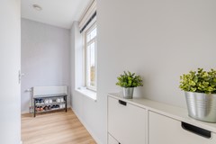 FREYJAPLANTSOEN 3-6.jpg